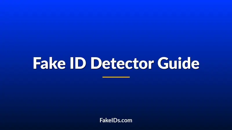 Fake ID Detector Guide: What Bouncers and Stores Look For
