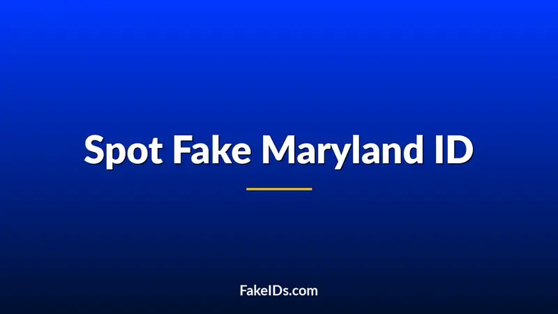 How to Tell if a Maryland ID is Fake