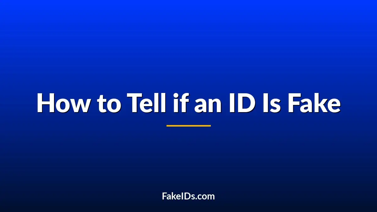 How to Tell if an ID Is Fake: Signs on the Front, Back, and Photo