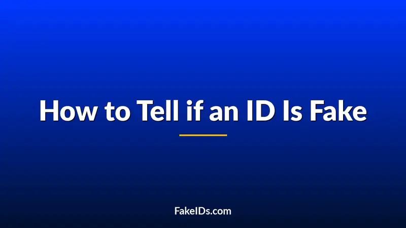 How to Tell if an ID Is Fake: Signs on the Front, Back, and Photo