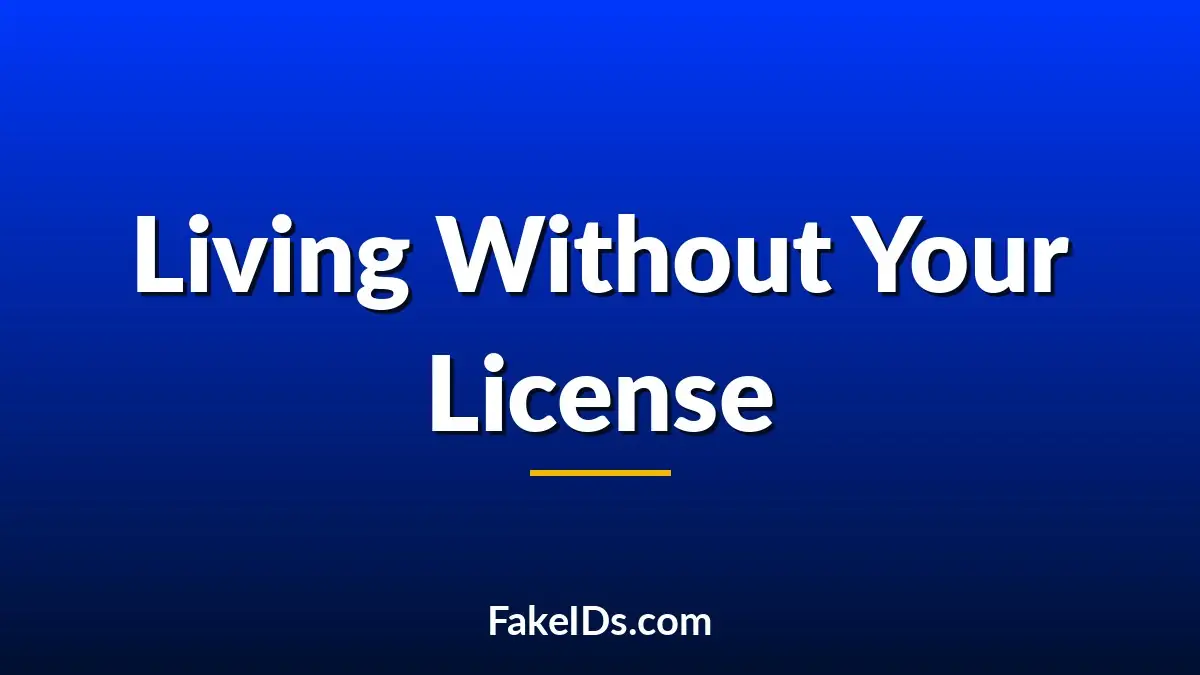 What Happens When You Lose the ID a Bar Confiscated?