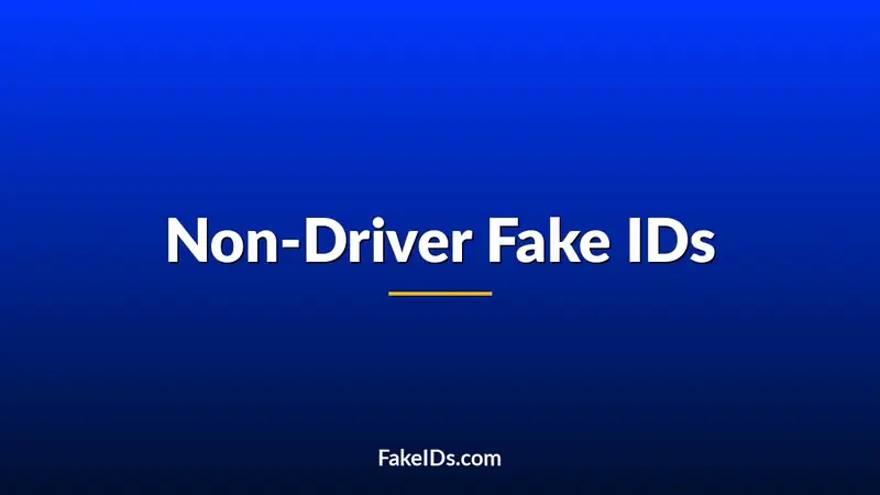 Why Non-Driver Fake IDs Are So Hard to Find