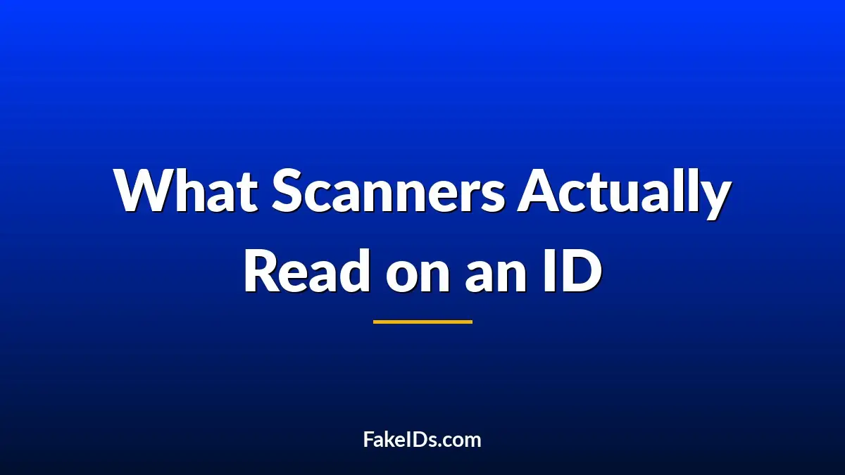 What Scanners Actually Read on an ID