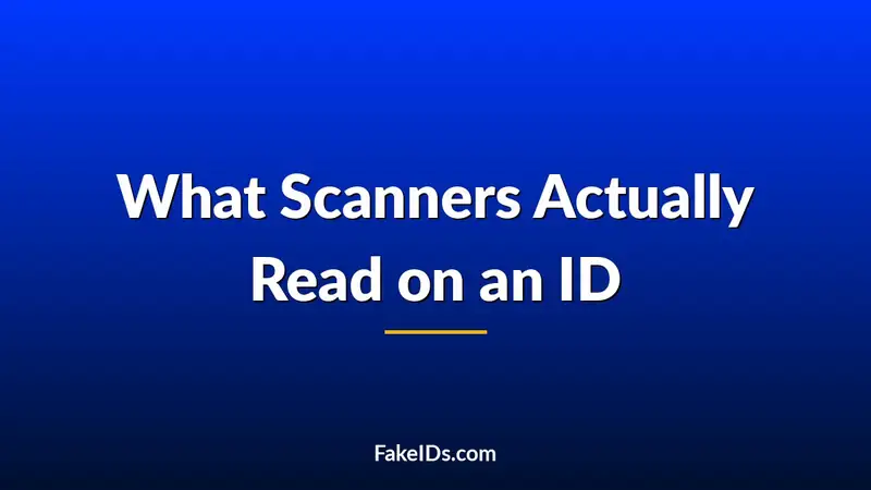 What Scanners Actually Read on an ID