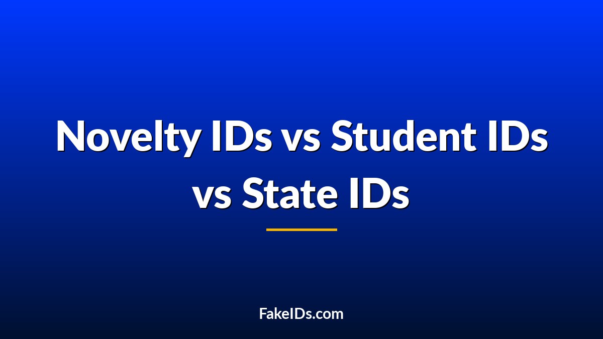 Why Novelty IDs, Student IDs, and State IDs Get Checked Differently