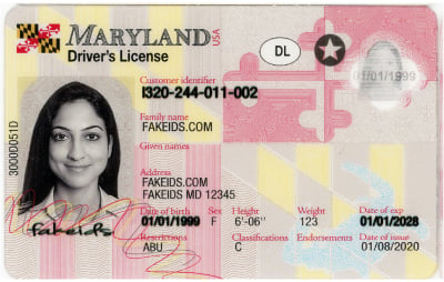 Maryland fake id