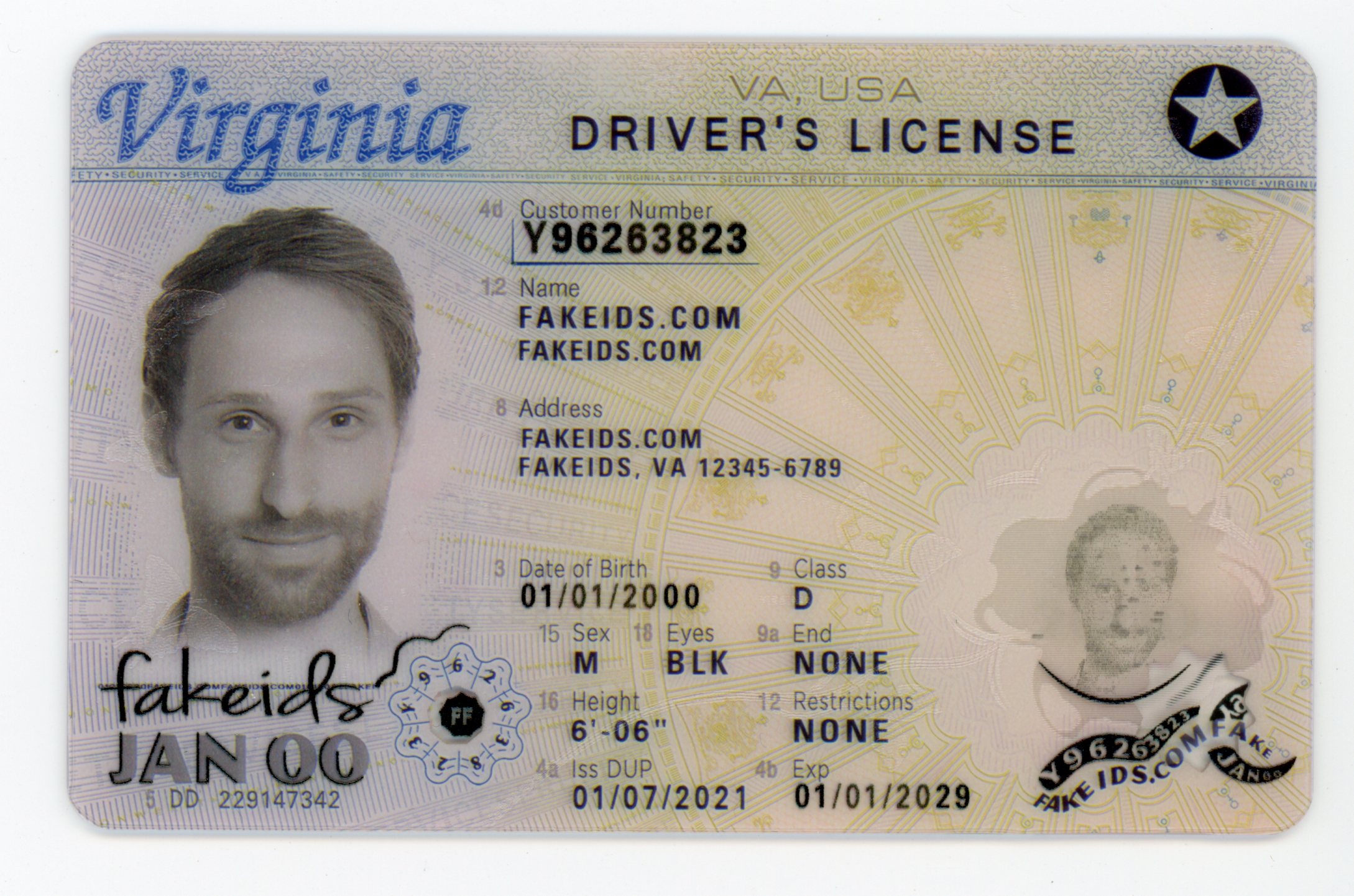 Virginia Fake ID