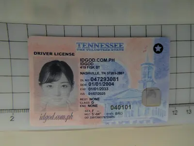Tennessee Fake ID