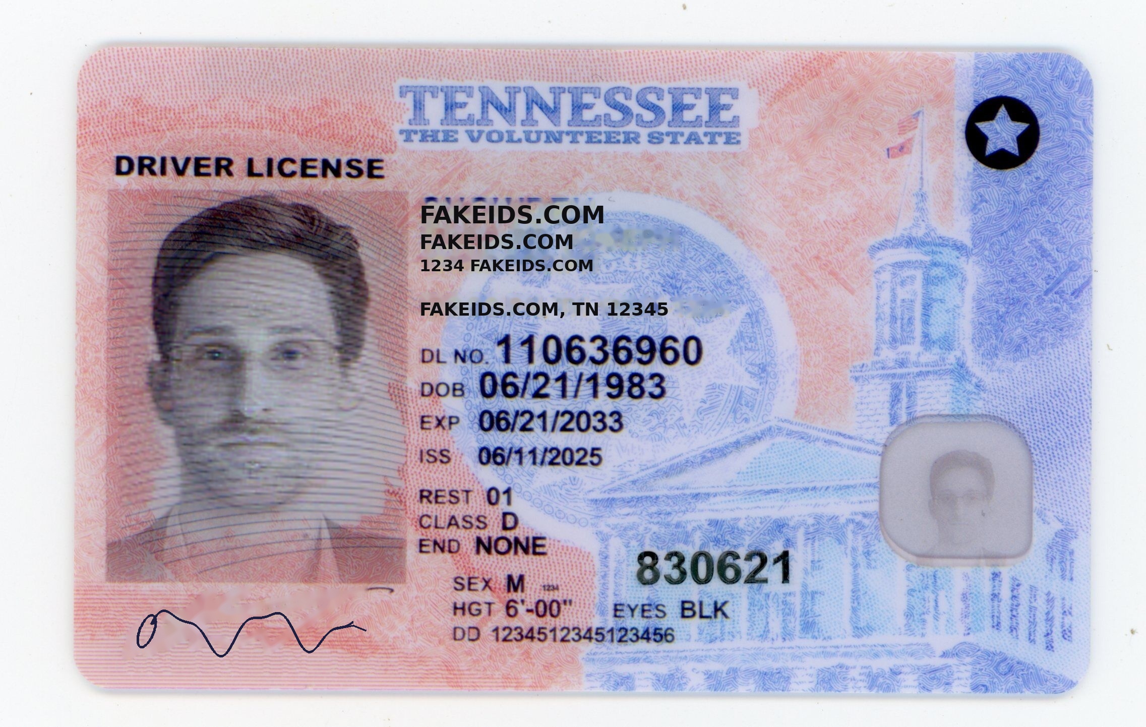 Tennessee Identification Card Only Fake ID
