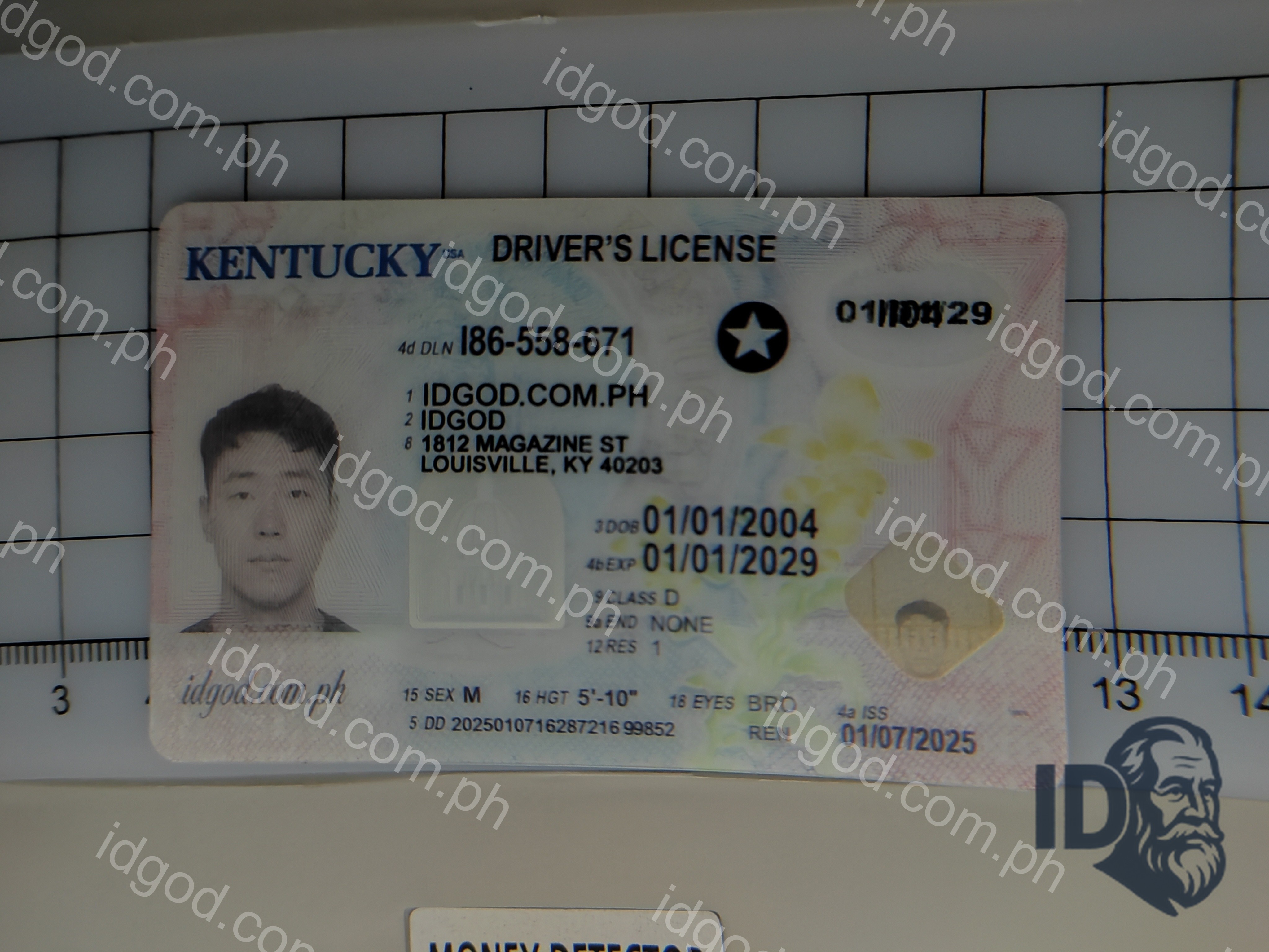 Kentucky Fake ID