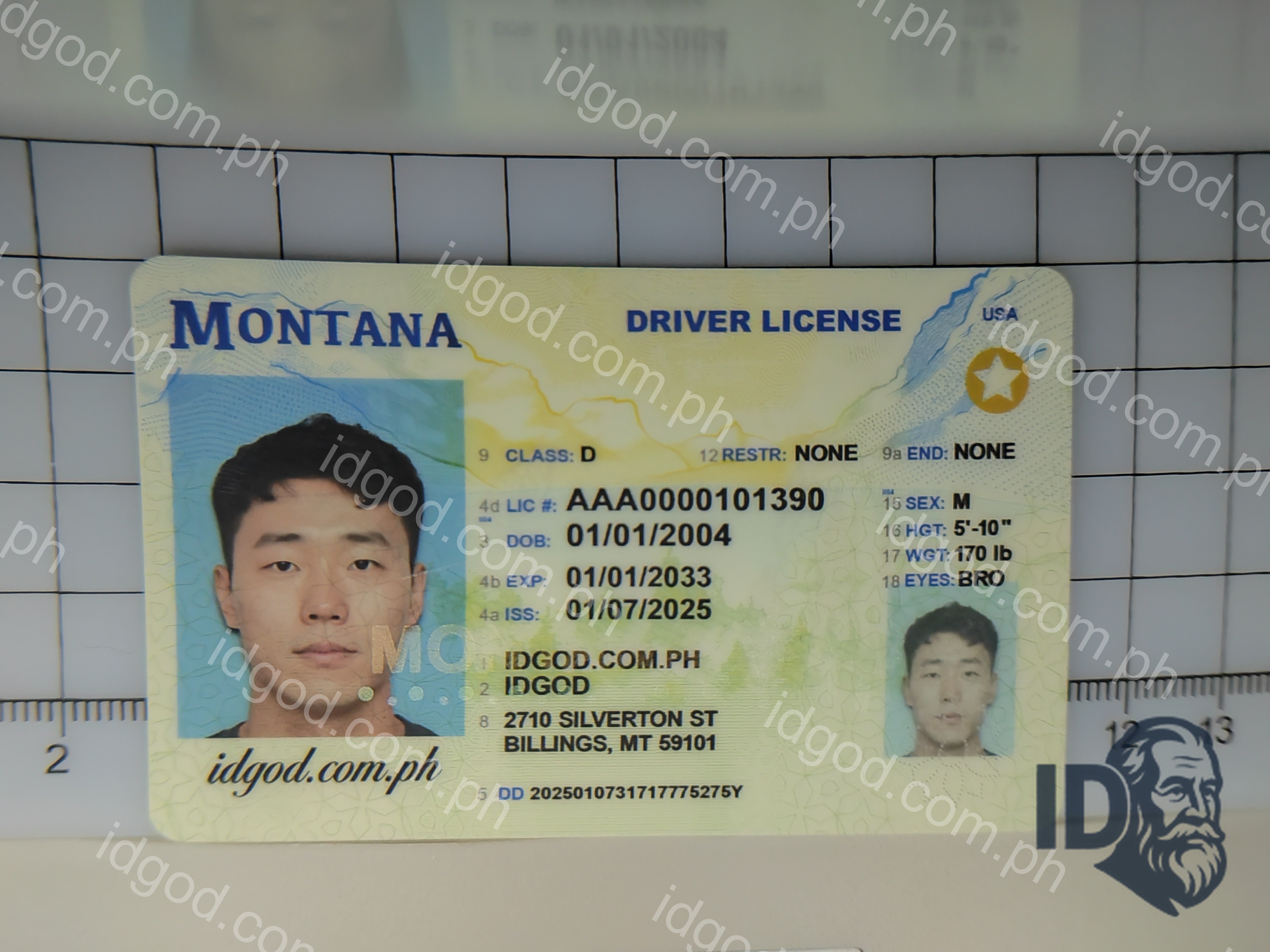 Montana Polycarbonate - Official State Material Fake ID