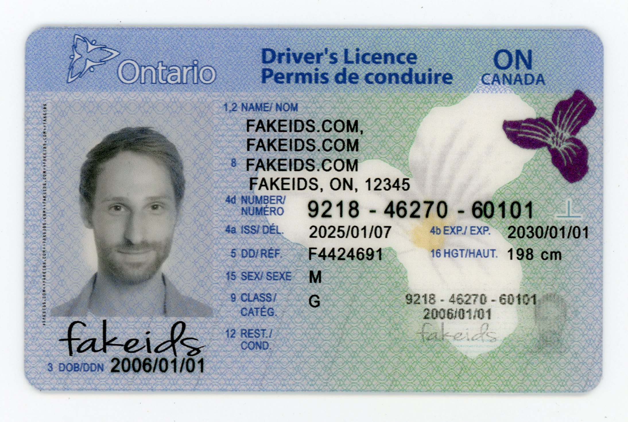 Ontario Canada Fake ID